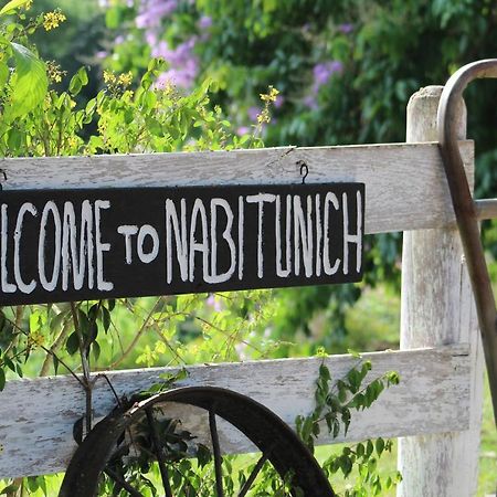Nabitunich Villa San Ignacio Dış mekan fotoğraf